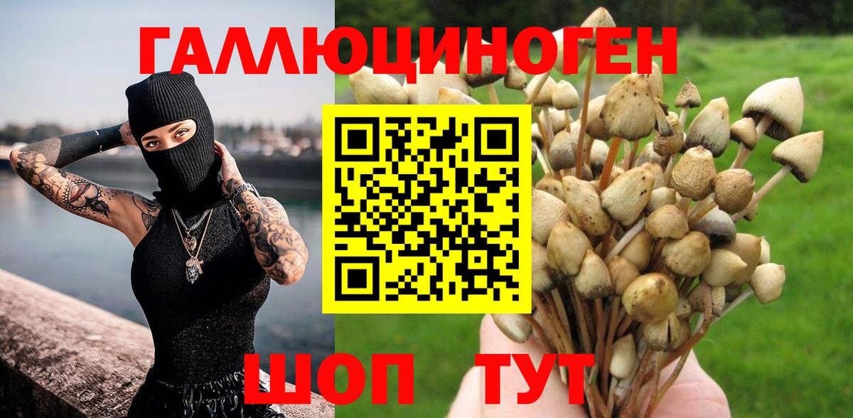 Галлюциногенные грибы Cubensis Заводоуковск