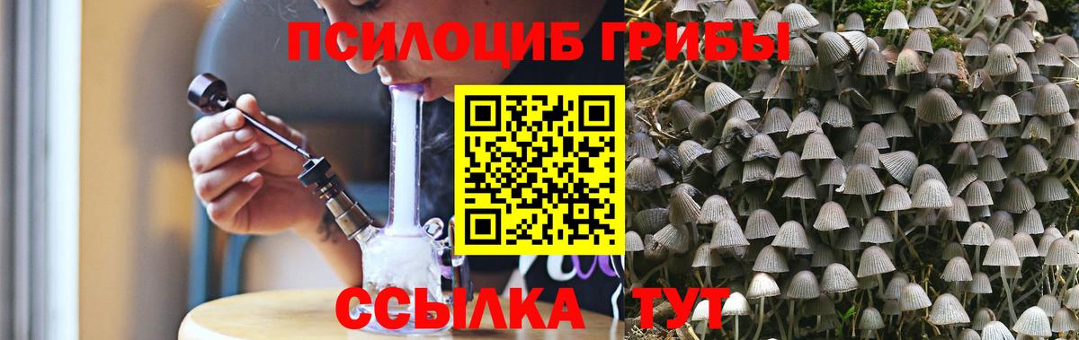 Заводоуковск  Псилоцибиновые грибы мицелий  Псилоцибиновые грибы GOLDEN TEACHER  Вход с VPN 